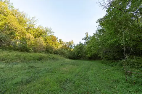 001-08532 000 Nc 6012, Jasper, AR 72641 photo 31