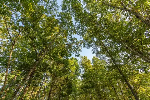 001-08532 000 Nc 6012, Jasper, AR 72641 photo 29