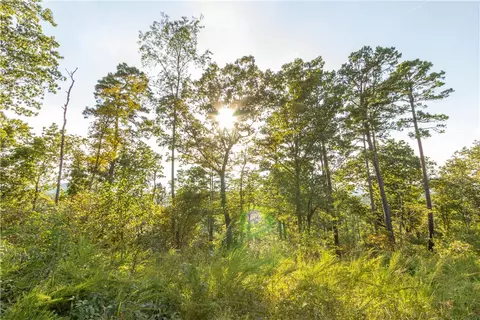 001-08532 000 Nc 6012, Jasper, AR 72641 photo 27