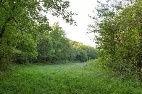 001-08532 000 Nc 6012, Jasper, AR 72641 photo 32