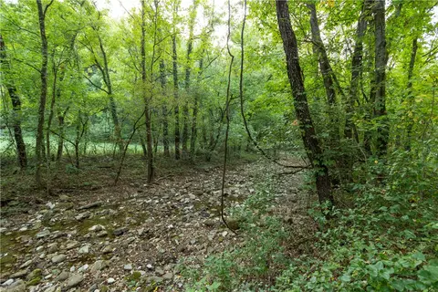 001-08532 000 Nc 6012, Jasper, AR 72641 photo 33