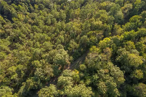001-08532 000 Nc 6012, Jasper, AR 72641 photo 19