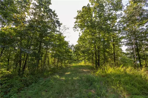 001-08532 000 Nc 6012, Jasper, AR 72641 photo 26