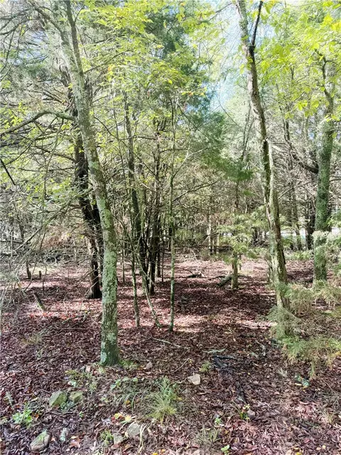 lot60 Lodge Dr, Garfield, AR 72732