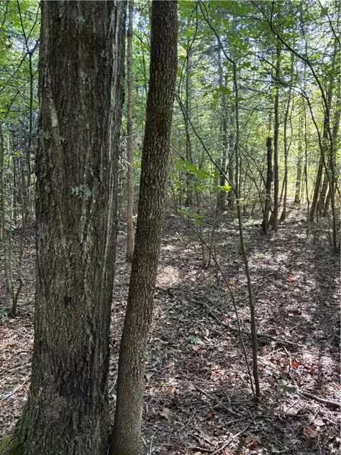 000 Quicker Still Ln, Dover, AR 72837 photo 9