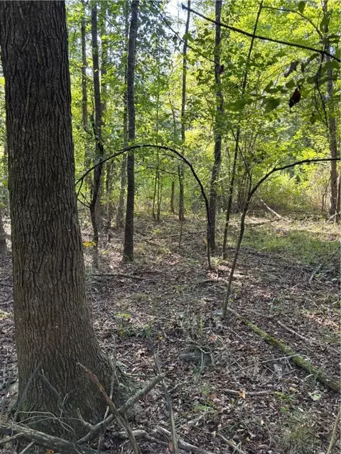 000 Quicker Still Ln, Dover, AR 72837 photo 14