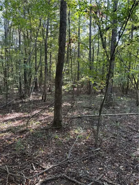 000 Quicker Still Ln, Dover, AR 72837 photo 12