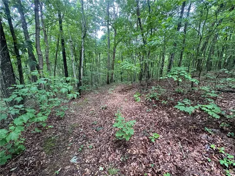 tbd Nc 8500, Deer, AR 72628 photo 30