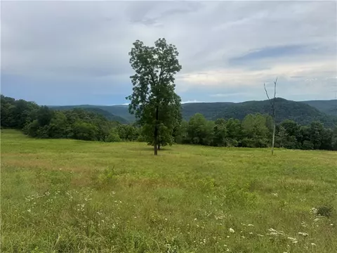 tbd Nc 8500, Deer, AR 72628 photo 6