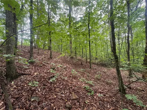 tbd Nc 8500, Deer, AR 72628 photo 31