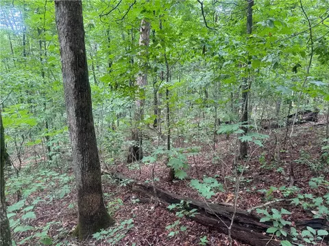 tbd Nc 8500, Deer, AR 72628 photo 29