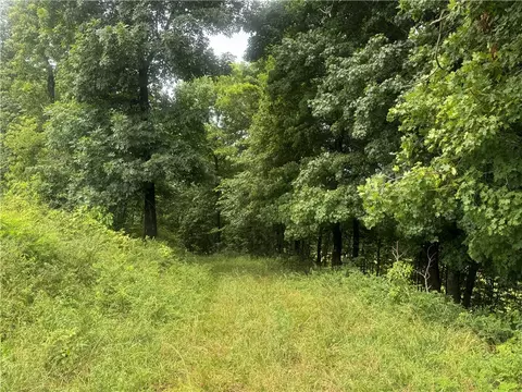 tbd Nc 8500, Deer, AR 72628 photo 19