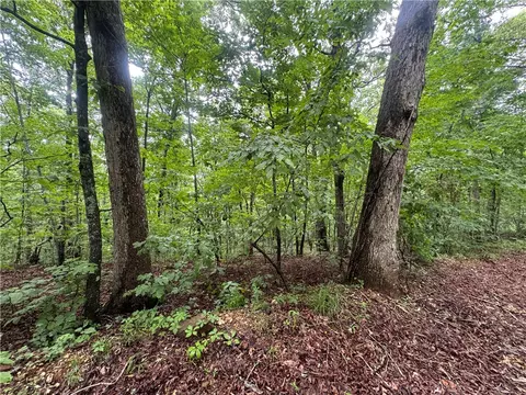 tbd Nc 8500, Deer, AR 72628 photo 28