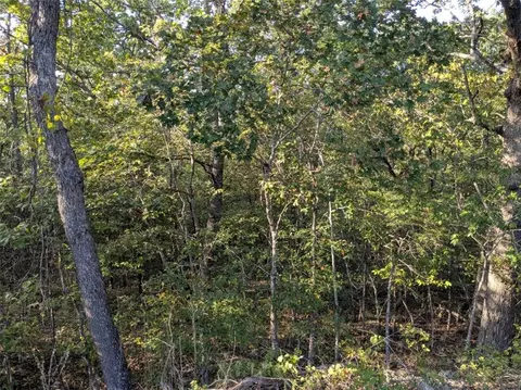 36 Starlite Ave, Holiday Island, AR 72631