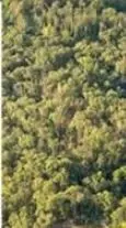 12106 Punkin Hollow Rd, Bentonville, AR 72712