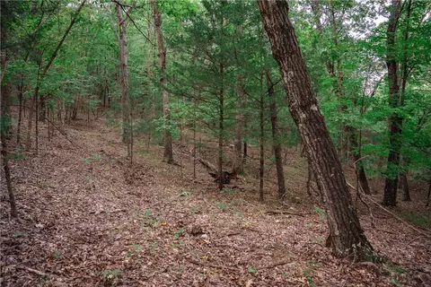 14630 Wallin Mountain Rd, West Fork, AR 72774 photo 10