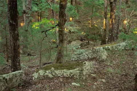 14630 Wallin Mountain Rd, West Fork, AR 72774 photo 21