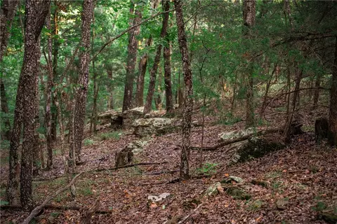 14630 Wallin Mountain Rd, West Fork, AR 72774 photo 18