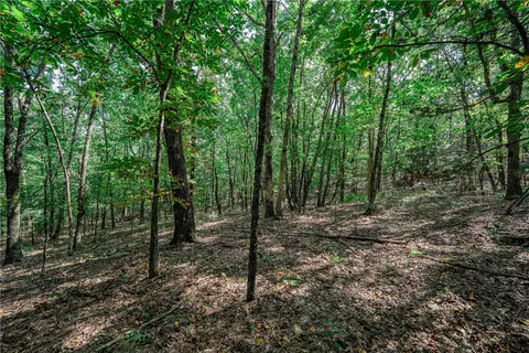 14630 Wallin Mountain Rd, West Fork, AR 72774 photo 23