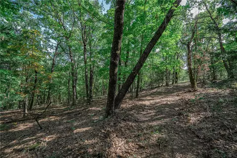 14630 Wallin Mountain Rd, West Fork, AR 72774 photo 12