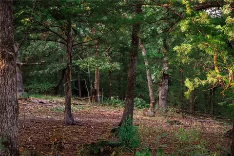 14630 Wallin Mountain Rd, West Fork, AR 72774 photo 9