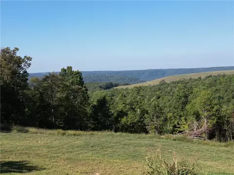 View/Area - 662 Star Mountain Rd, Marshall, AR 72650 photo 8 of 9