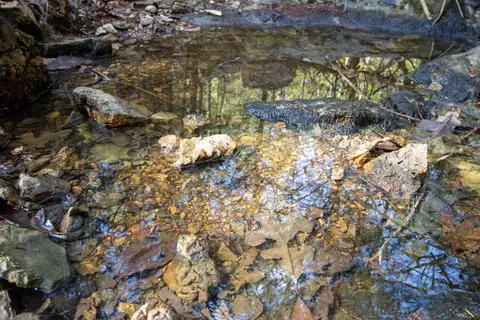 0000 Needles Eye Trl, Mammoth Spring, AR 72554 photo 58
