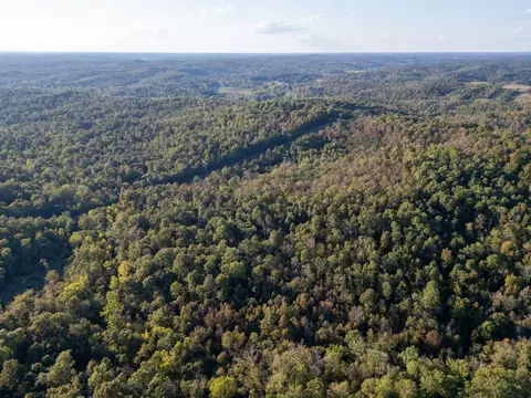 0000 Needles Eye Trl, Mammoth Spring, AR 72554 photo 11