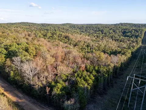 0000 Needles Eye Trl, Mammoth Spring, AR 72554 photo 14
