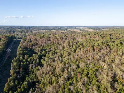 0000 Needles Eye Trl, Mammoth Spring, AR 72554 photo 8