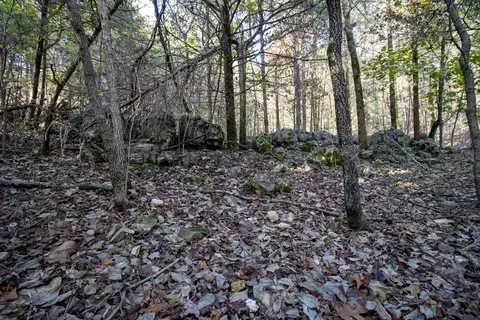 0000 Needles Eye Trl, Mammoth Spring, AR 72554 photo 52
