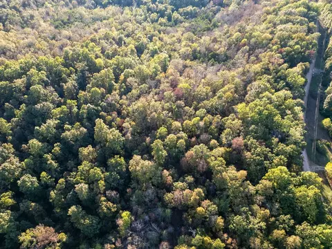 0000 Needles Eye Trl, Mammoth Spring, AR 72554 photo 9