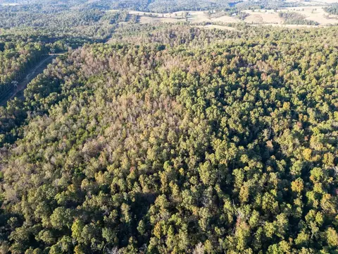 0000 Needles Eye Trl, Mammoth Spring, AR 72554 photo 7