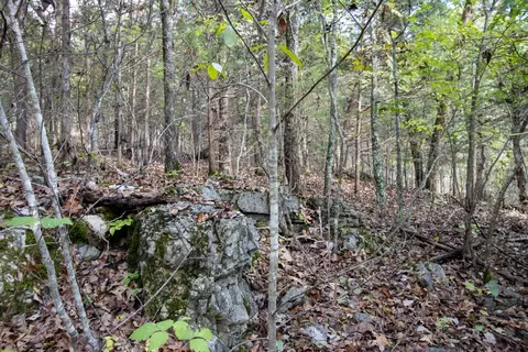 0000 Needles Eye Trl, Mammoth Spring, AR 72554 photo 37
