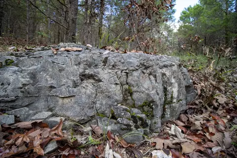 0000 Needles Eye Trl, Mammoth Spring, AR 72554 photo 43