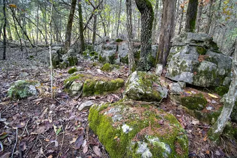 0000 Needles Eye Trl, Mammoth Spring, AR 72554 photo 47
