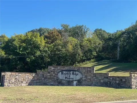 000 Mountain Ridge Dr, Noel, MO 64854