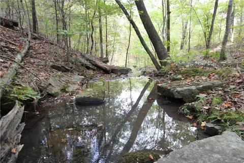 tbd High Rock Lancaster Rd, Rudy, AR 72952 photo 23