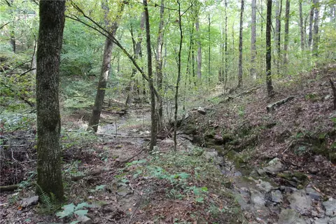 tbd High Rock Lancaster Rd, Rudy, AR 72952 photo 25