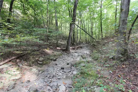 tbd High Rock Lancaster Rd, Rudy, AR 72952 photo 26