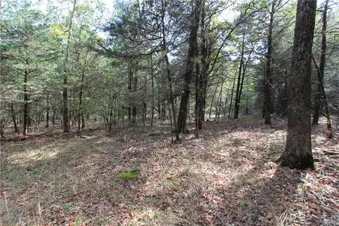 tbd High Rock Lancaster Rd, Rudy, AR 72952 photo 8