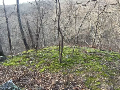 tbd High Rock Lancaster Rd, Rudy, AR 72952 photo 34
