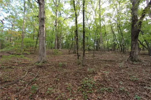 tbd High Rock Lancaster Rd, Rudy, AR 72952 photo 40
