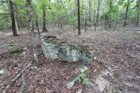 tbd High Rock Lancaster Rd, Rudy, AR 72952 photo 7