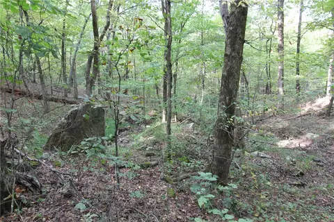 tbd High Rock Lancaster Rd, Rudy, AR 72952 photo 21