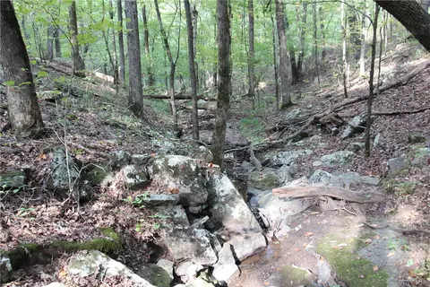 tbd High Rock Lancaster Rd, Rudy, AR 72952 photo 20
