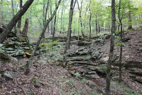 tbd High Rock Lancaster Rd, Rudy, AR 72952 photo 22