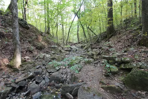 tbd High Rock Lancaster Rd, Rudy, AR 72952 photo 38