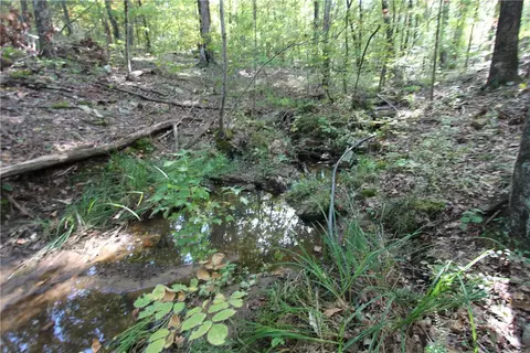 tbd High Rock Lancaster Rd, Rudy, AR 72952 photo 15