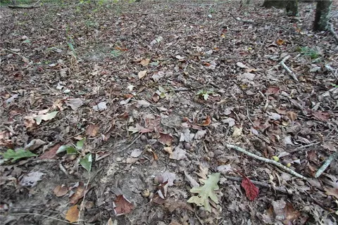 tbd High Rock Lancaster Rd, Rudy, AR 72952 photo 37
